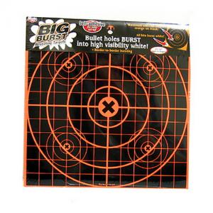 Birchwood Casey 36225 Big Burst 12 Sightin Target 25