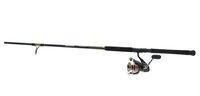 Daiwa Bg 1p 6+1 7' Spin Combo 043178959503