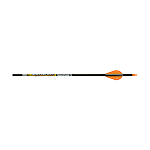 Carbon Express Mayhem DS Arrows 044734508777