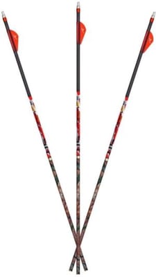Carbon Express D-Stroyer MX Hunter 400 6-pack Arrows, 51147