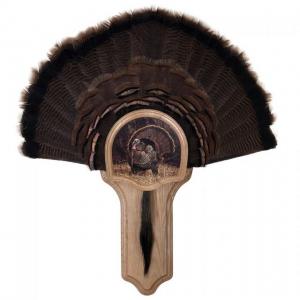Walnut Hollow Deluxe Turkey, Display Kit Oak, 40325 046308403259