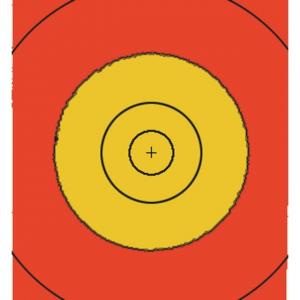 Saunders P48 Patches for 122cm, Face, 1571K