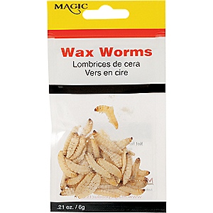 Magic Preserved Wax Worms - Brown 
