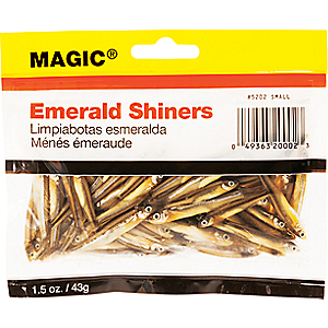 Magic Small Preserved Shiners - Brown 