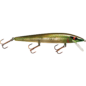 Smithwick Rattlin' Rogue 4-1/2" Floating Stickbait Gold Rogue - Fresh Water Hard Baits at Academy Sports ADRB1269