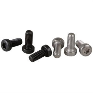TORX HEAD RING SCREWS, 8-36 THREAD, .360'' LENGTH, BLUE 078018838
