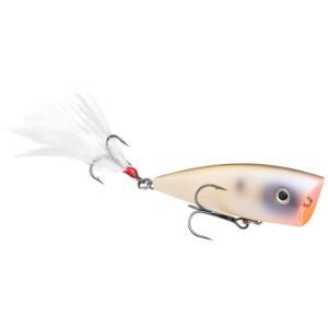 Strike King KVD Splash Topwater Popper JR, Oyster, 3/16 oz; 2.25in, HCKVDSPLJR-584 HCKVDSPLJR584