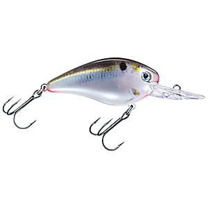 Strike King KVD 1.5 Deep Diver 0.5 oz Crankbait Delta Red - Fresh Water Hard Baits at Academy Sports 051034245134
