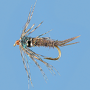 Umpqua Tungsten Bead Soft Hackle Pheasant Tail - Per 2 - Brown 052857268256