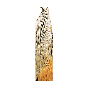 Metz Dry Fly Neck - Grade 2 - Black 052857902457