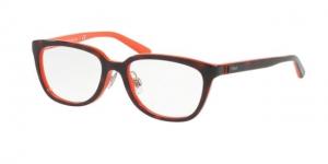 Polo PP8528 Progressive Prescription Eyeglasses 1638-47 - Tortoise/Orange Frame