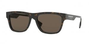 Burberry BE4293F Sunglasses 3002/3-56 - , Brown Lenses