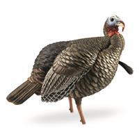 Avian-X HDR Jake Turkey Decoy AVX8105
