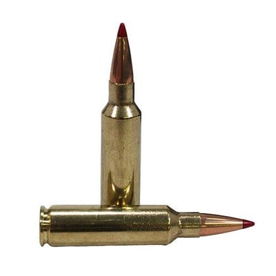 Hornady Precision Hunter .300WSM 200gr 20rds 82208