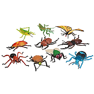 Wild Republic Polybag Insect Collection 092389640922