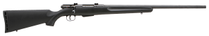 Savage Arms  22 Hornet 19153