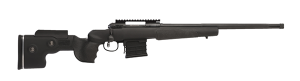 Savage Arms  308 22599