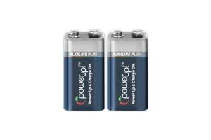 Alkaline Plus 9 Volt 2 Pack 192768111521