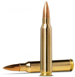 Norma MATCH .223 Remington 69gr Brass Cased Centerfire Rifle Ammo, 20 Rounds, 10157692 393923325439