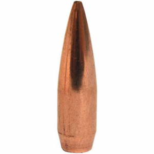 30 Caliber .308 Diameter 155 G 415310009801