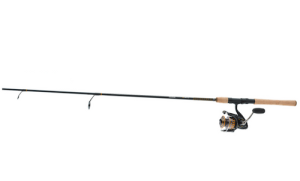 Daiwa BG 1P 6+1 7' Spin Combo BG4000/701MH