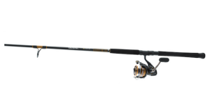 Daiwa BG 1P 6+1 7' Spin Combo BG4500/701MH
