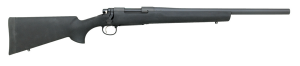 Remington  308 84207