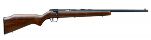 Savage Arms  22LR 60702