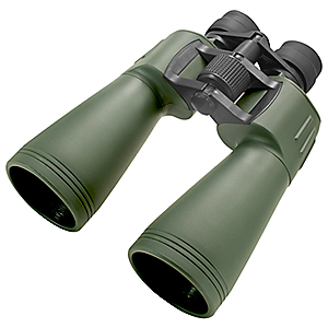 BSA Optics BIN1030X60G 10-30x60mm Binocular, Porro Prism/BK7, Green 631618114447