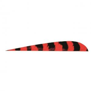 Trueflight Parabolic Feathers, Barred Red 4 in. LW 100 pk., 1533