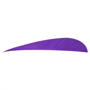 Trueflight Parabolic Feathers, Purple 4 in. RW 100 pk., 11514 650747115149