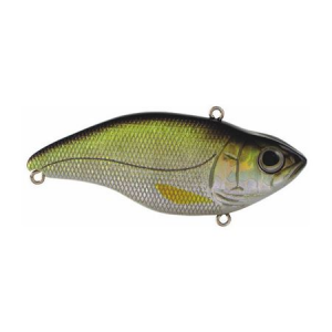 Spro Aruka Shad - Wild Shiner SAS75WSR