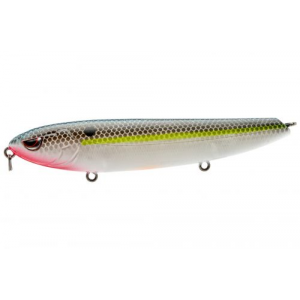 WALKING HAINT 125 NASTY SHAD 