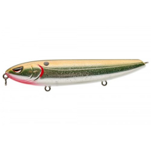 WALKING HAINT 125 CHROME OLIVE 