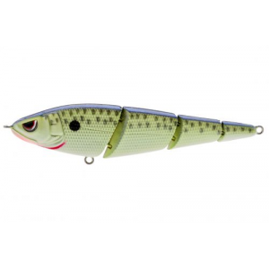Spro Sashimmy Swimmer 105 Cell Mate 