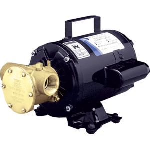 Jabsco Utility Pump w/Open Drip Proof Motor - 115V, 6050-0003