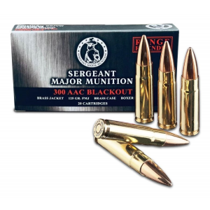 Tula SMM 125 gr FMJ Brass Cased 300 AAC Blackout Ammunition, 20 Rounds - SMM3001251000-BRASS TSM300