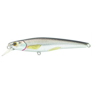 LiveTarget RS91S202 Rainbow Smelt Jerkbait