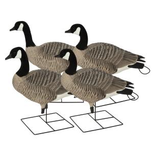 BANDED PG XD Canada Geese Decoy - Active 4 Pack 700905715909