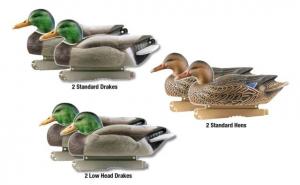 Greenhead Gear Life-Size Duck Decoy,Mallards,1/2 Dozen 73004