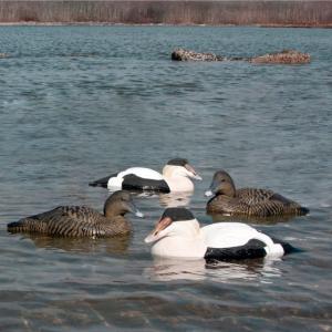 Greenhead Gear Commercial Grade Eiders Foam Filled 74028