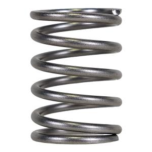 Piston Spring 9 & 45 