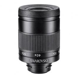 25-50x W Eyepiece
