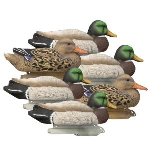 Higdon Standard Mallard Filler Pack Regular 6/ct 