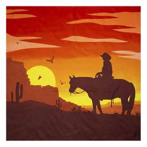 WYOMING TRADERS Southwest Sunset Silk Scarf SWSC