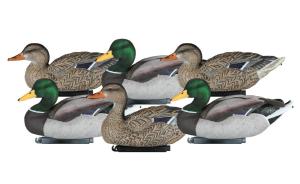 Dakota Decoy X-Treme Painted Head Packable Mallard Decoys - 6 Pack 