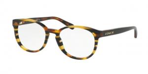 Coach HC6102 Single Vision Prescription Eyeglasses 5440-51 - Blk Amber Gltr Varsity Stripe Frame