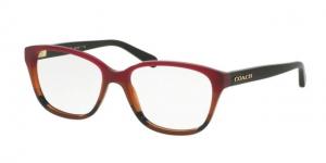 Coach HC6103 Single Vision Prescription Eyeglasses 5445-54 - Aubgn Cognac Varsity Stripe Frame