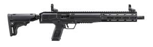 Ruger LC Carbine
