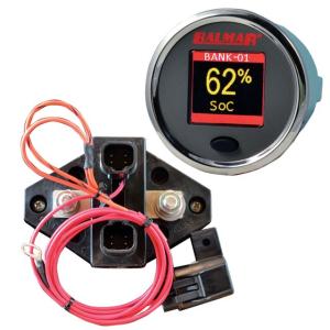 Balmar SG200 Battery Monitor Kit w/Display Shunt & 10M Cable - 12-48 VDC, SG200 SG200